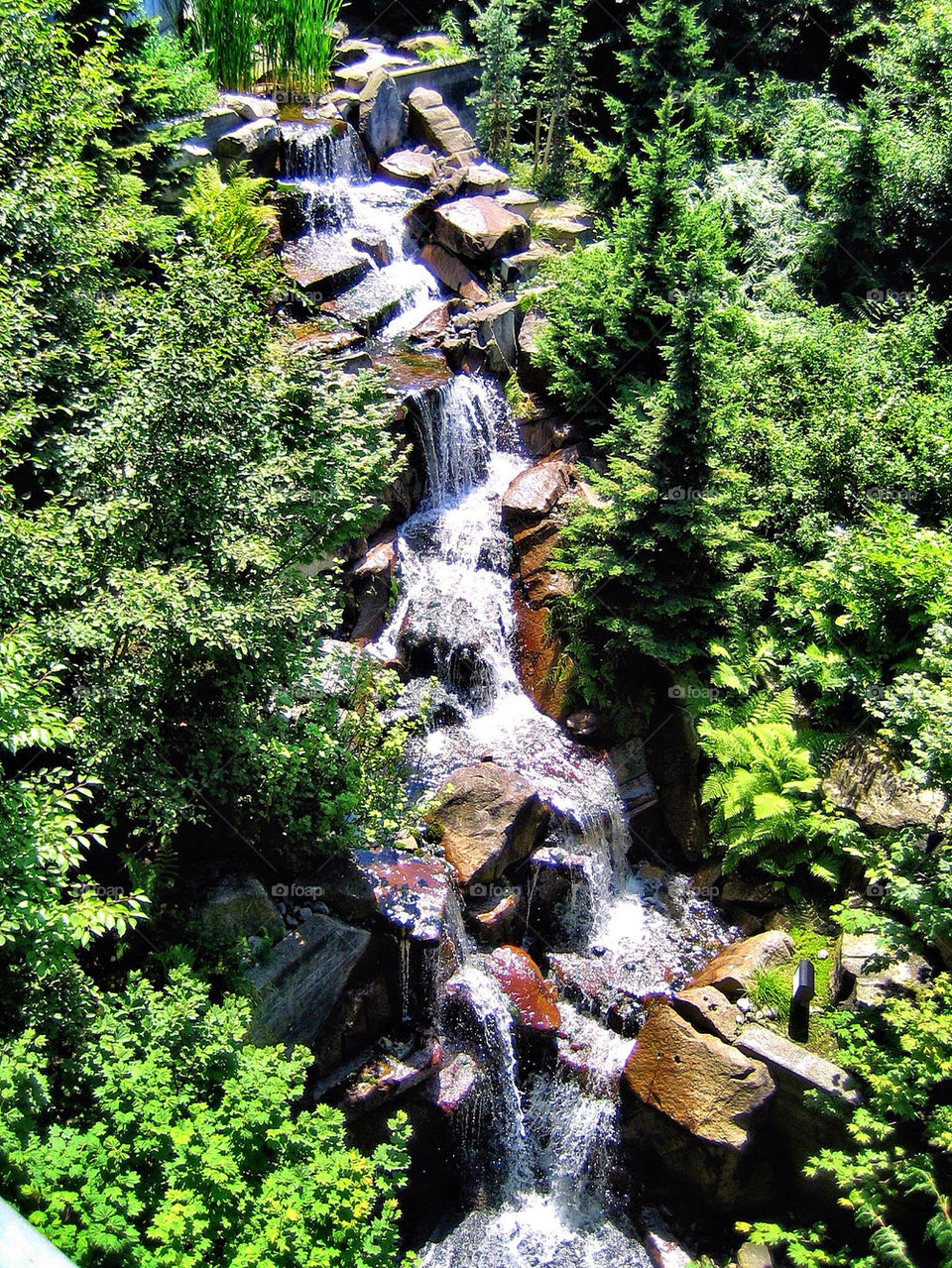 green trees water waterfall by hayen