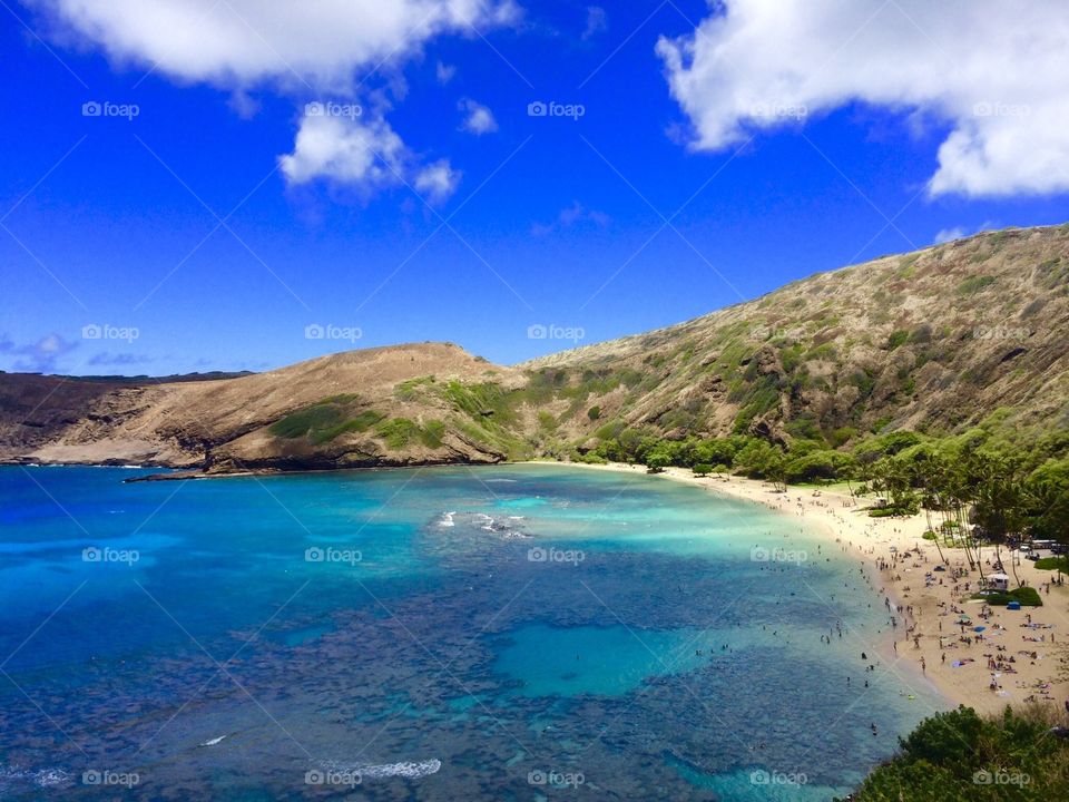 Ocean, beach, mountains
