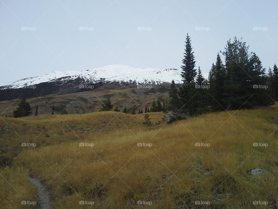 Mt ast Helens Loowit trail