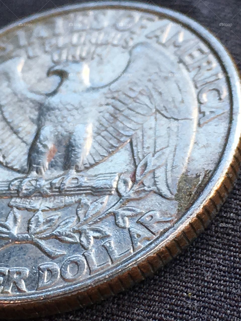 Such detail engraved in the US quarter.