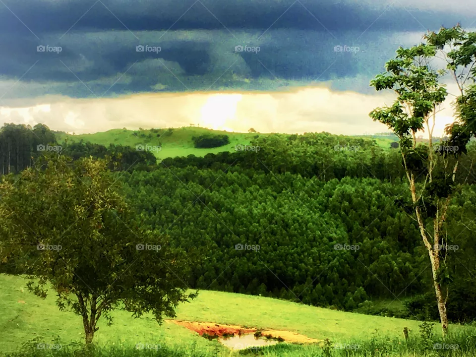 Natureza 