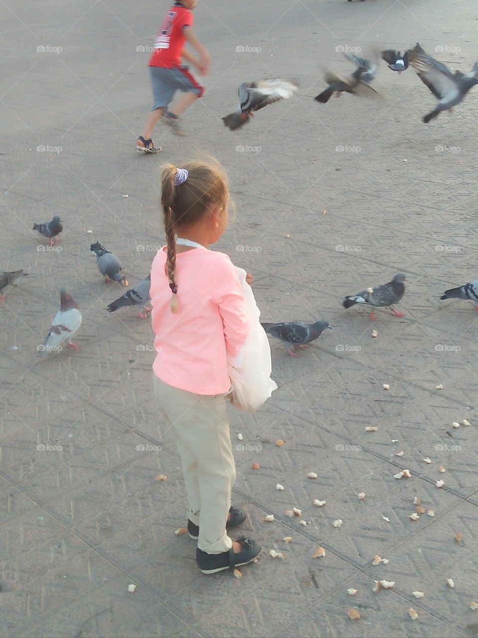 Pretty young girl feeds pigeons