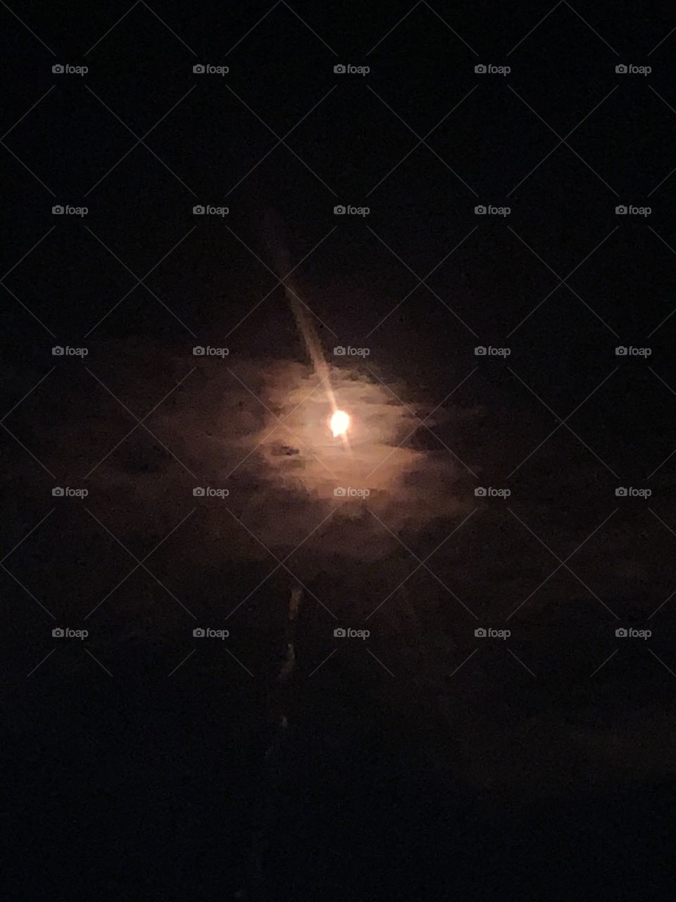 SpaceX dragon shuttle launch 🚀