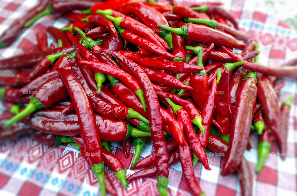 red food color chili by tediiliescu