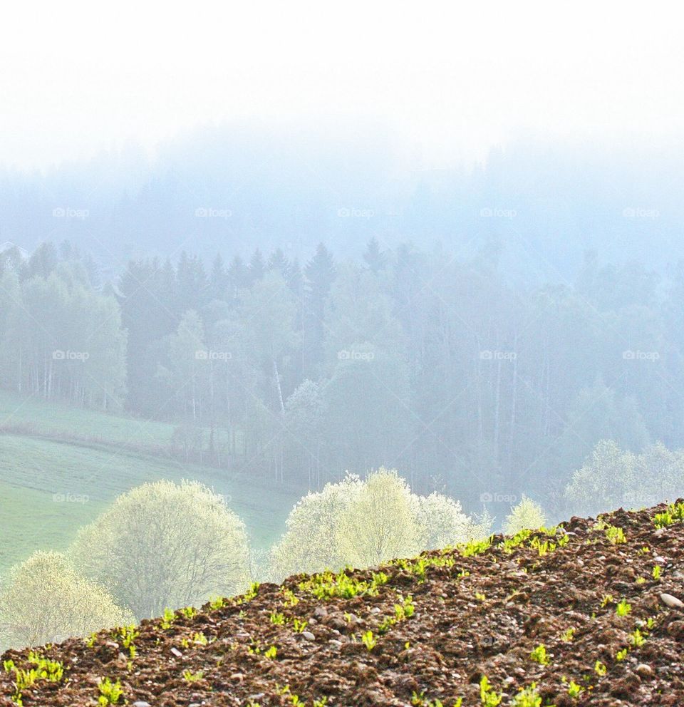 Freshly sown fields