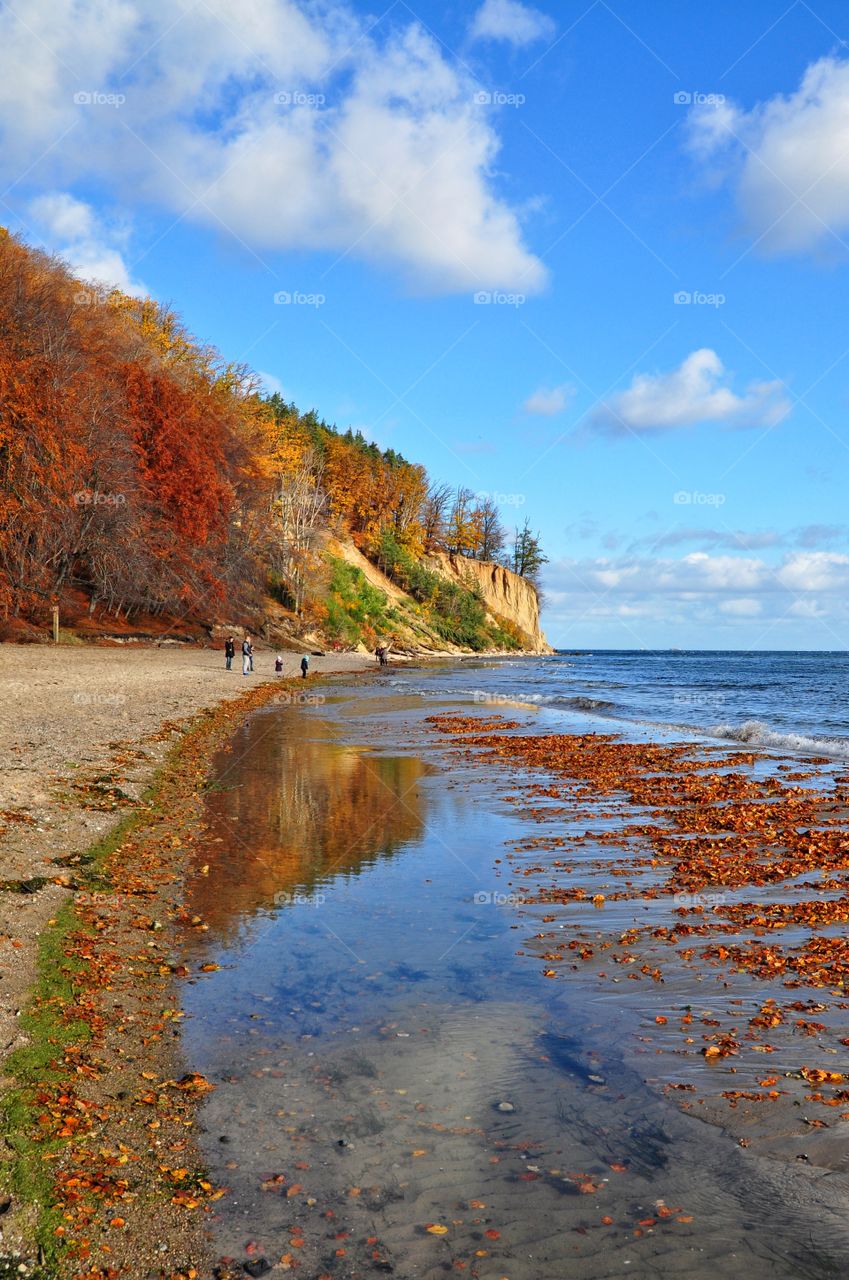 No Person, Fall, Nature, Landscape, Water