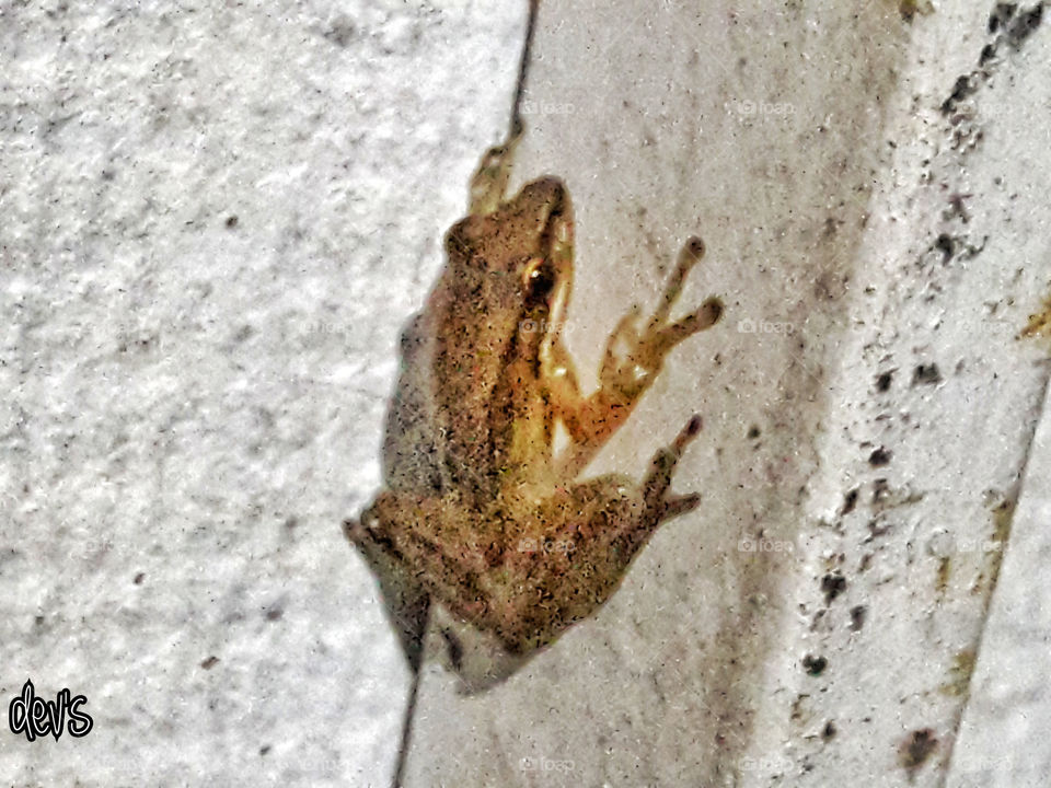 We often think too narrowly, like a frog at the bottom of a well that thinks the sky is only as big as a hole in the well. If the frog comes to the surface, it will see a different scene
- Mao Zedong