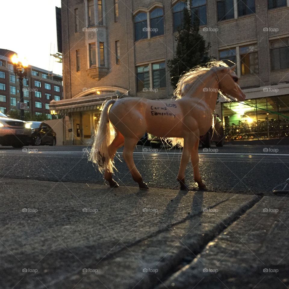 Breyer horse on city street