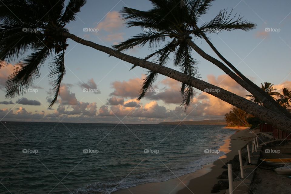 Sunrise on the North Shore. The beginning of a beautiful day as the sun is about to rise in Hawaii.