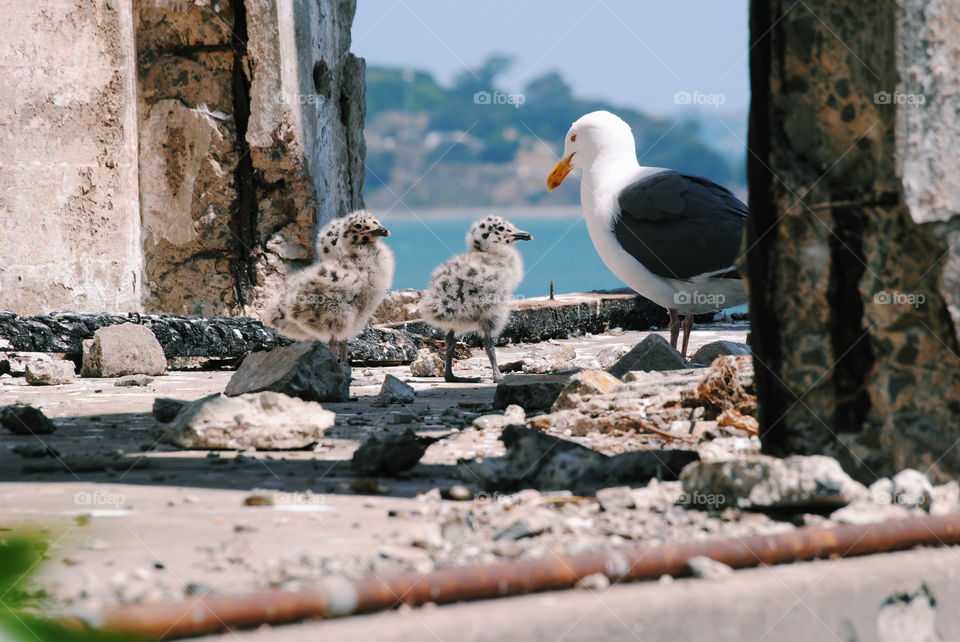 Our big USA road trip for 2018. We travelled nearly 4,000 miles in 22 days and saw 6 states in total.