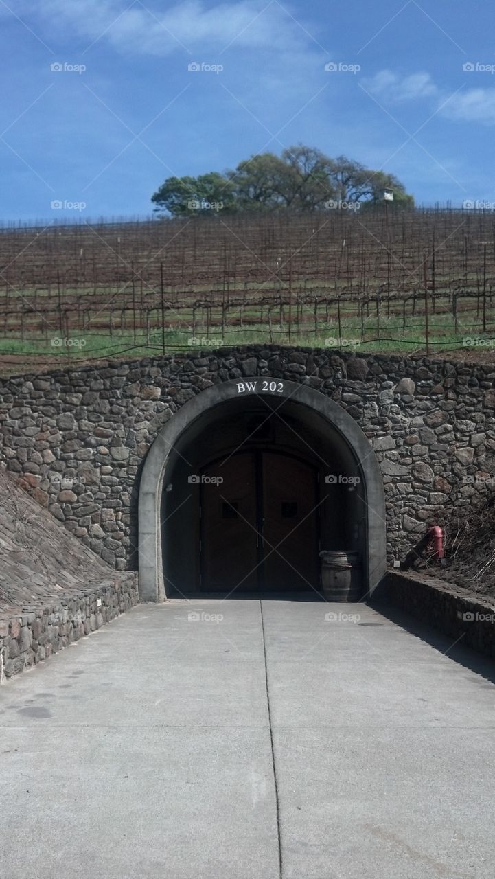 Wine Cave opening