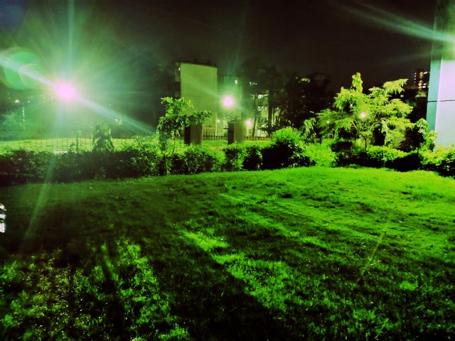 Blanket Of Nature
Green Grass
Night Scene 🌌
Park