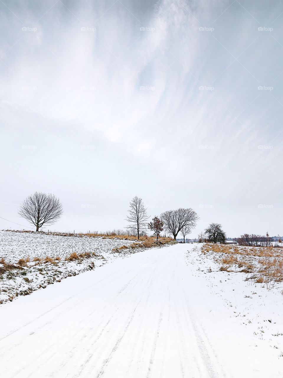 Winter road