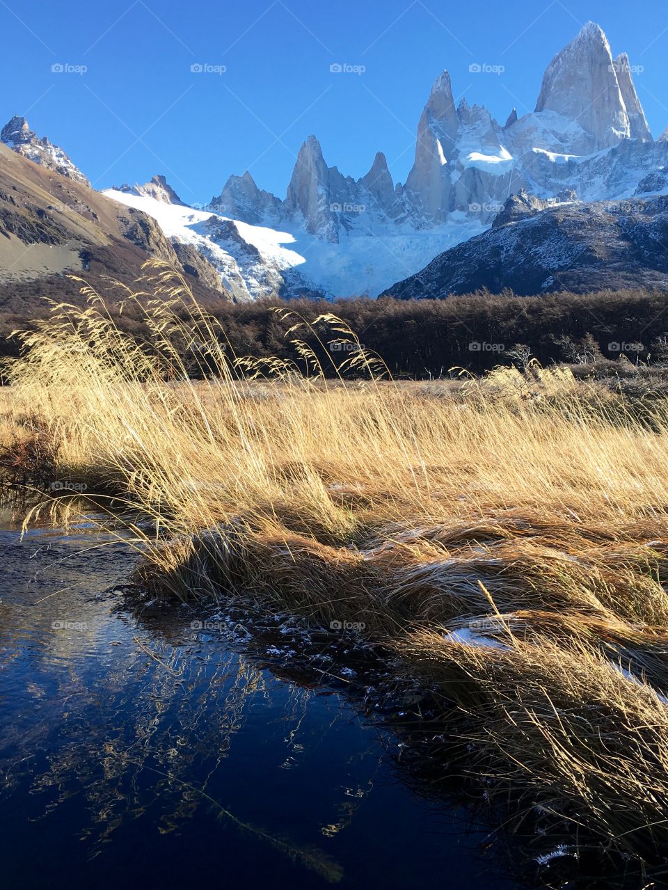 Fitz Roy beauty and splendor