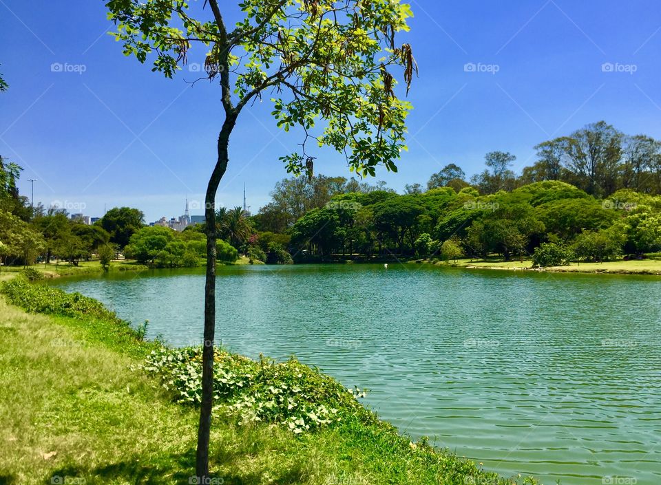 Lago do Parque Ibiraquera 