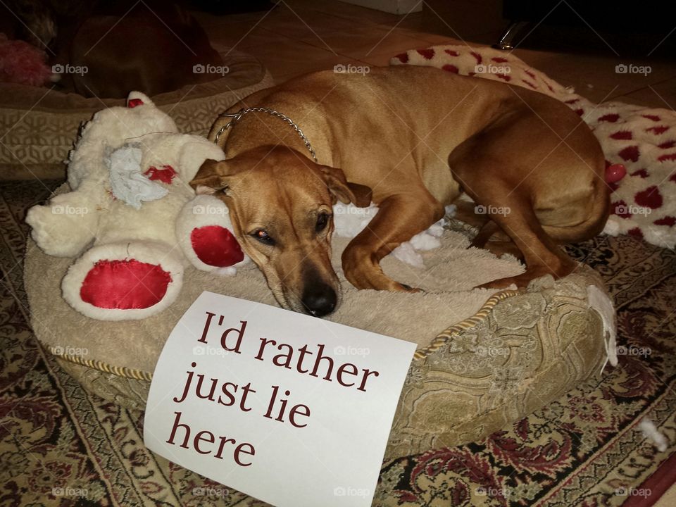 Who did ouchies?? Not me 😂