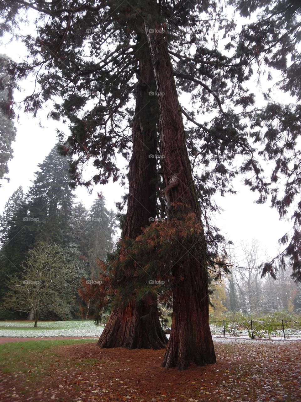parc de Mariemont , la Louvière