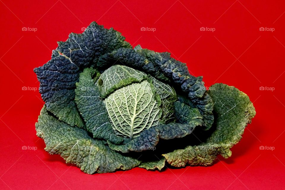 Close-up of cabbage isolated on vivid red background.