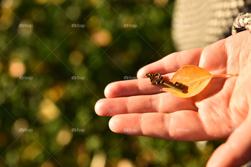 No Person, Nature, Outdoors, Blur, Leaf
