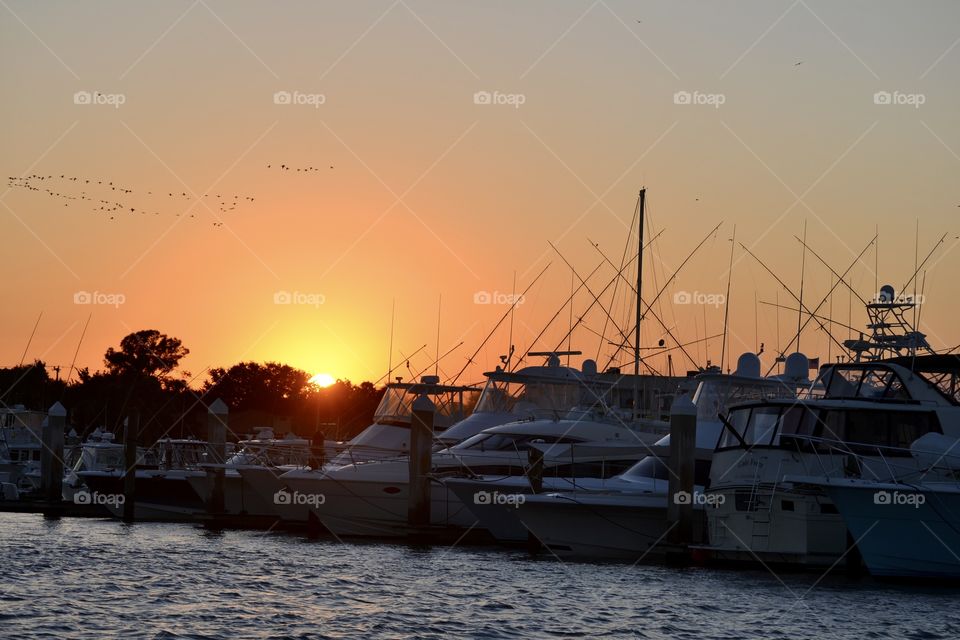 Several sailboats docked on a river with the orange sun setting behind them