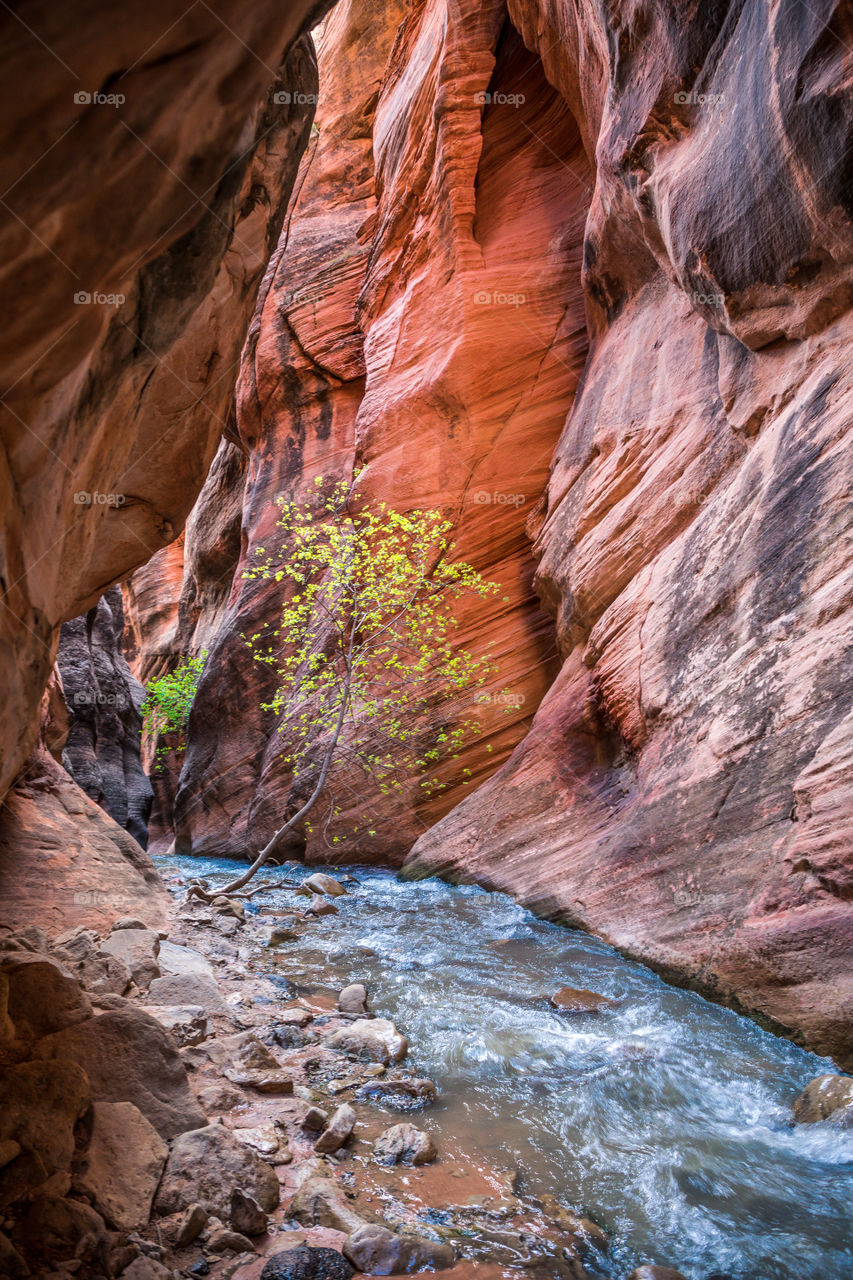 Utah Slot Canyon