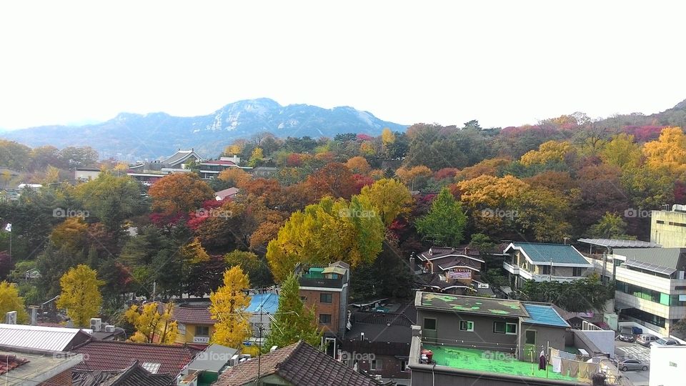 view of the city with buildings and trees