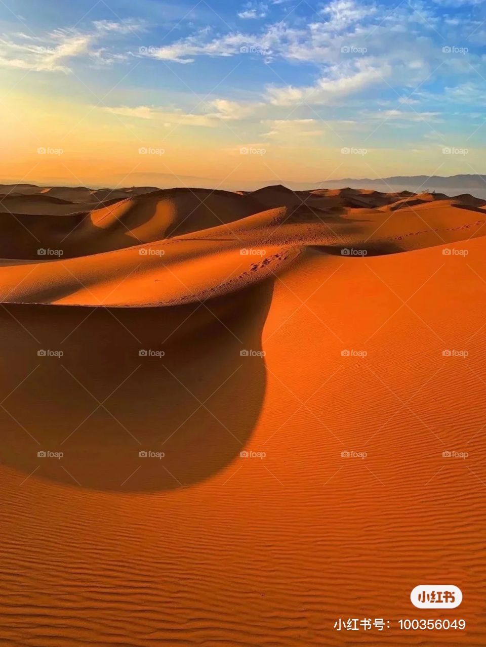 Desert