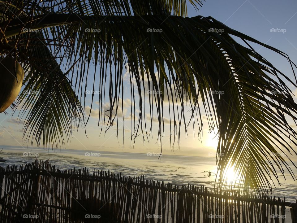 Sunrise - Zanzibar