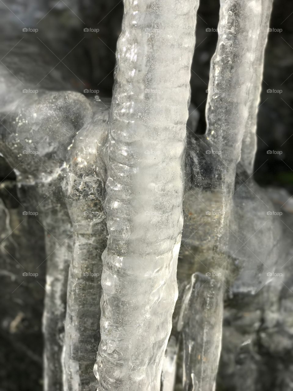 Ice