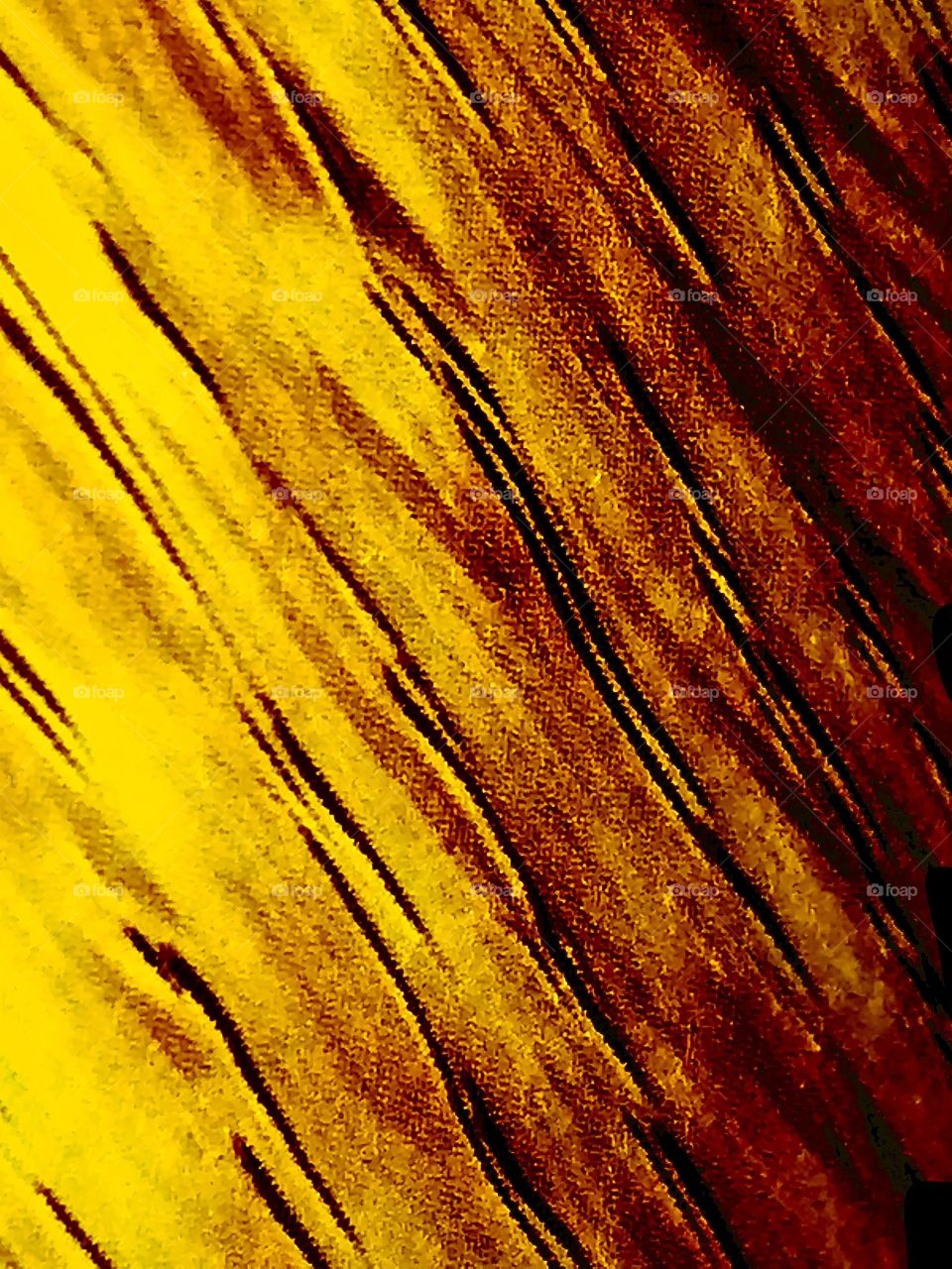 An abstract photograph of what is subjective to any viewers who see this. Hues, values, patterns and texture altogether give this composition what may be interpreted as a hot looks.