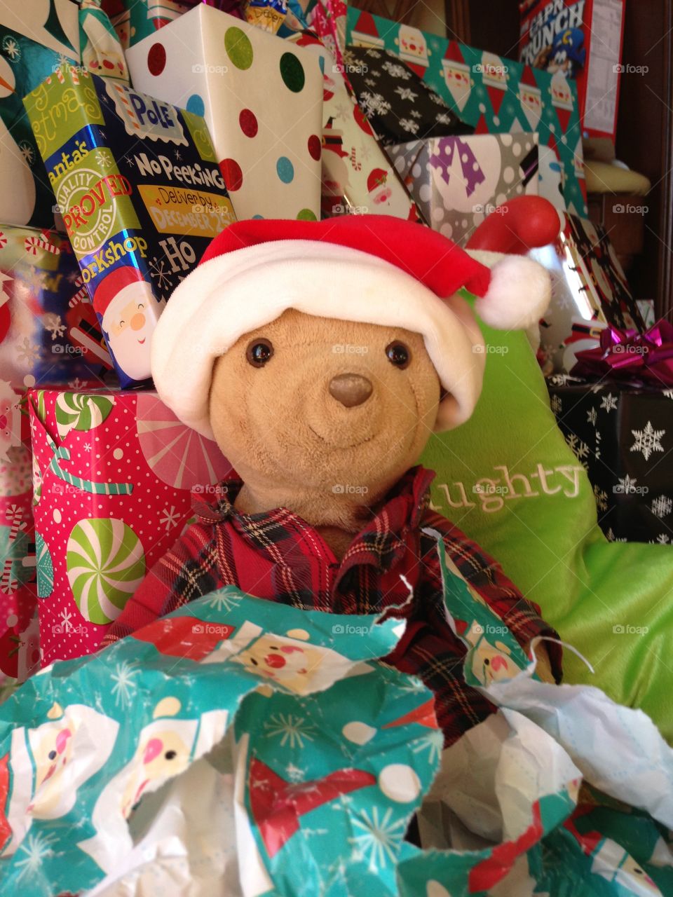 An adorable teddy bear on Christmas morning.