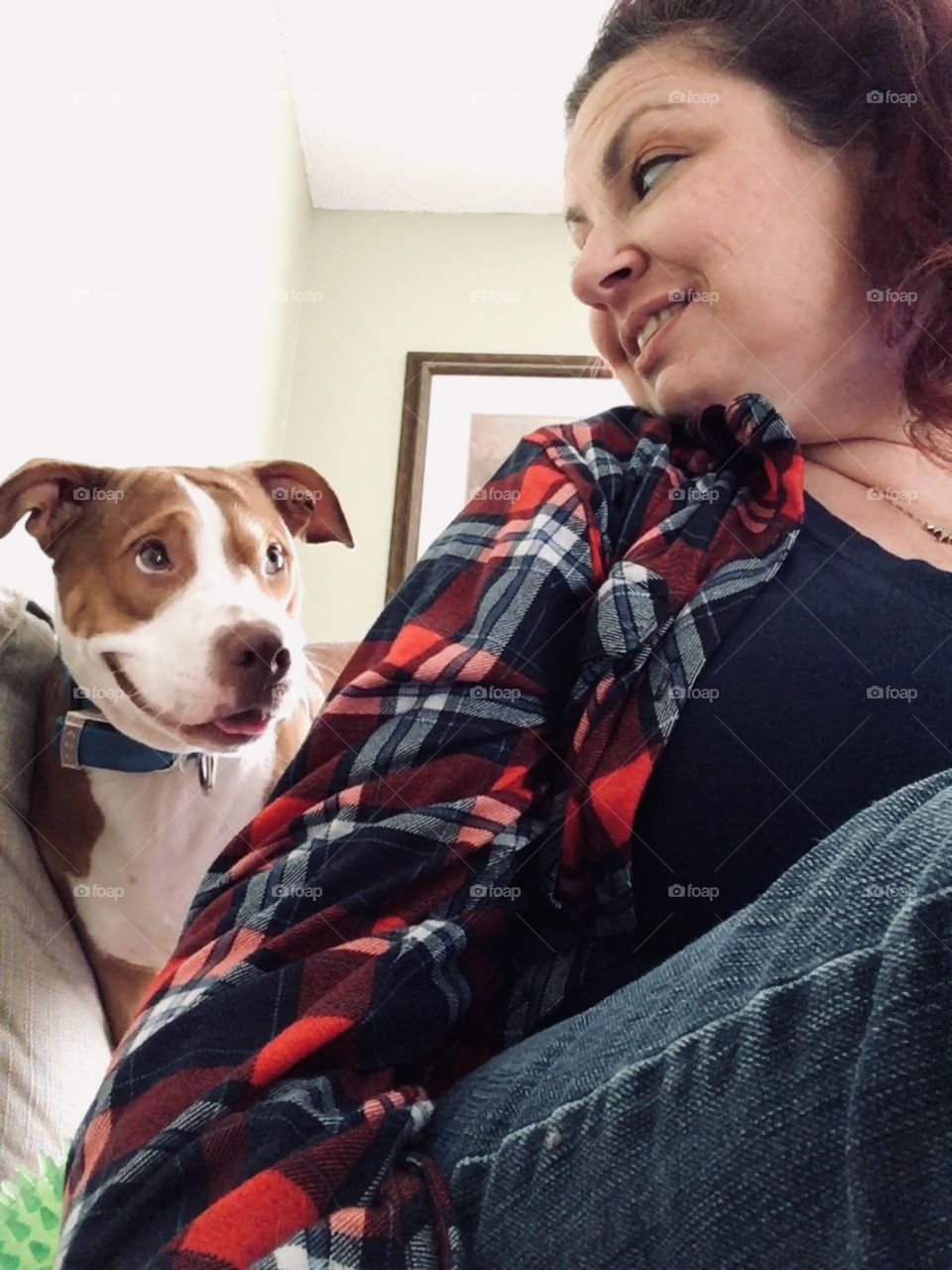 Sly looking rescue pitbull dog smiling 