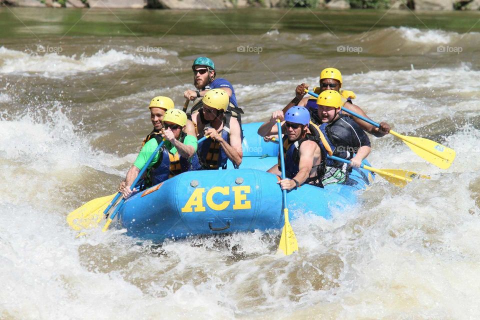Kayak, Rapids, Water Sports, Competition, Canoe