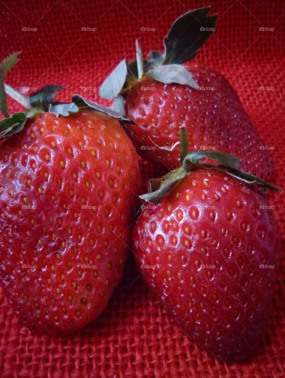 fresas