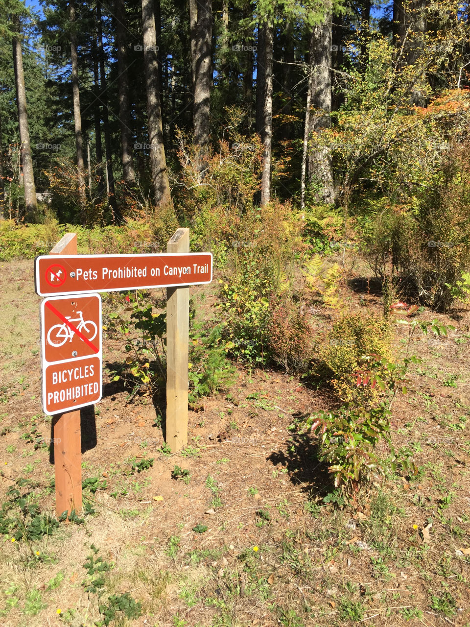 A sign prohibiting pets and vehicles from the hiking trail leading to waterfalls in Silver Falls State Park in Western Oregon on a sunny fall day. 