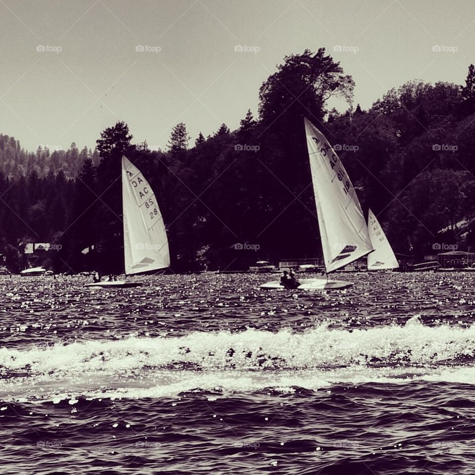 Sailboat races