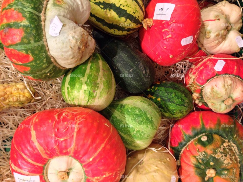 Close-up of pumpkin