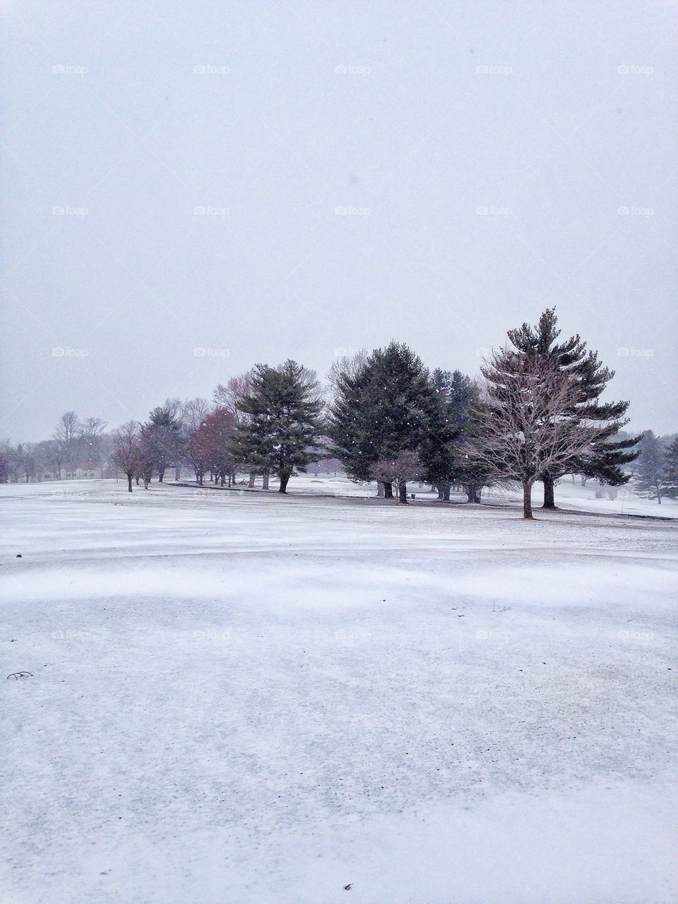 View of winter landscape