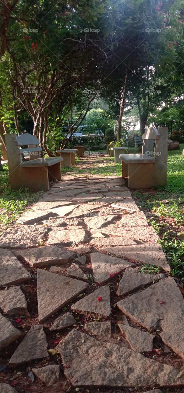 Never 👀🔙 , 👀➡️