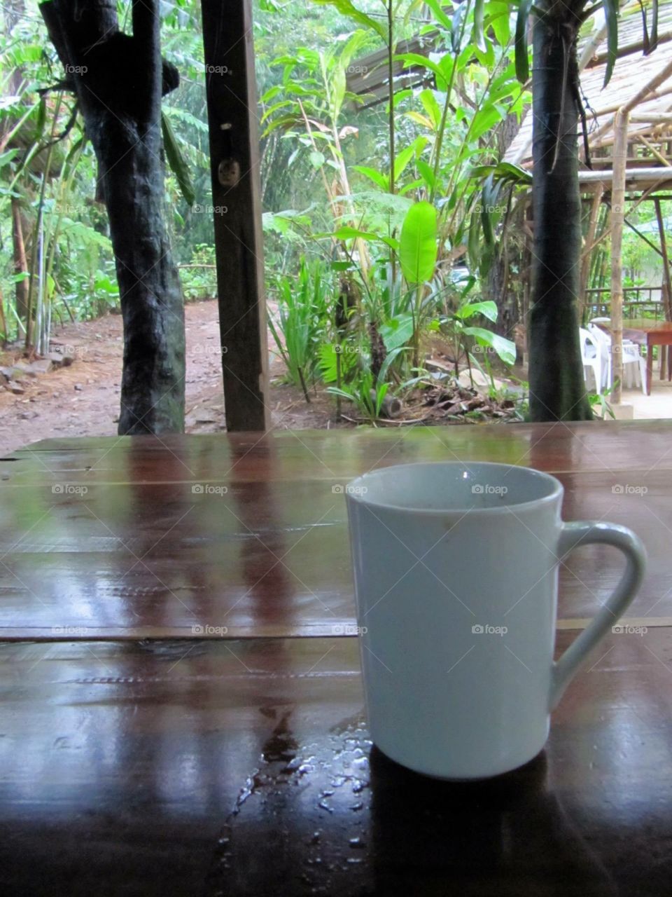 Enjoying a cup of coffee in the rainforest 
