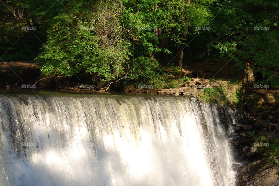 Scenic view of waterfall