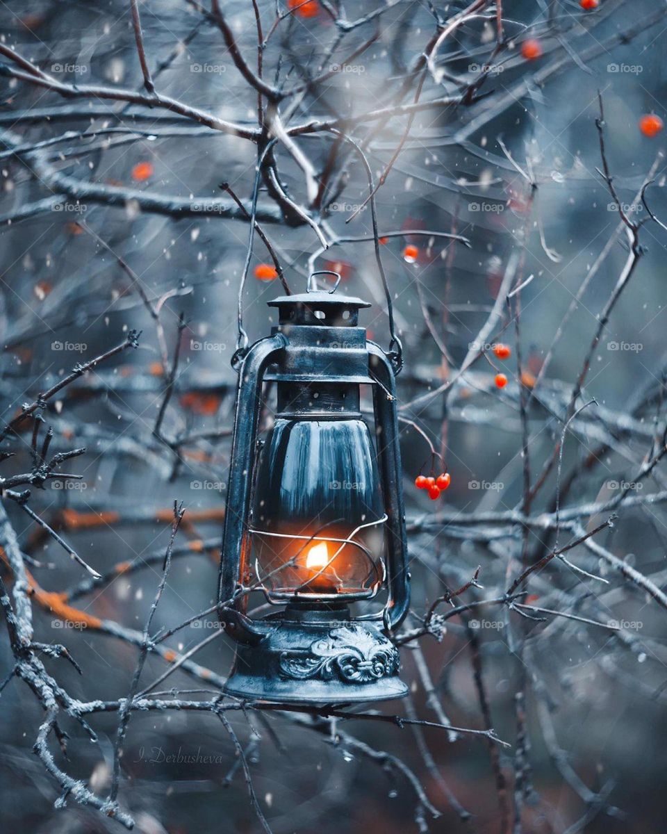 🥰 Beautiful lantern