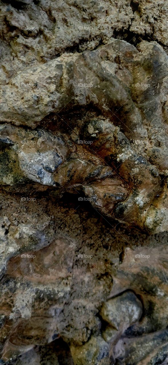 nature artwork mountains