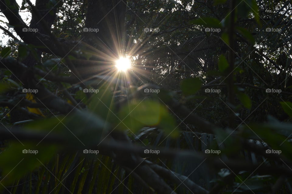 Sun rays!