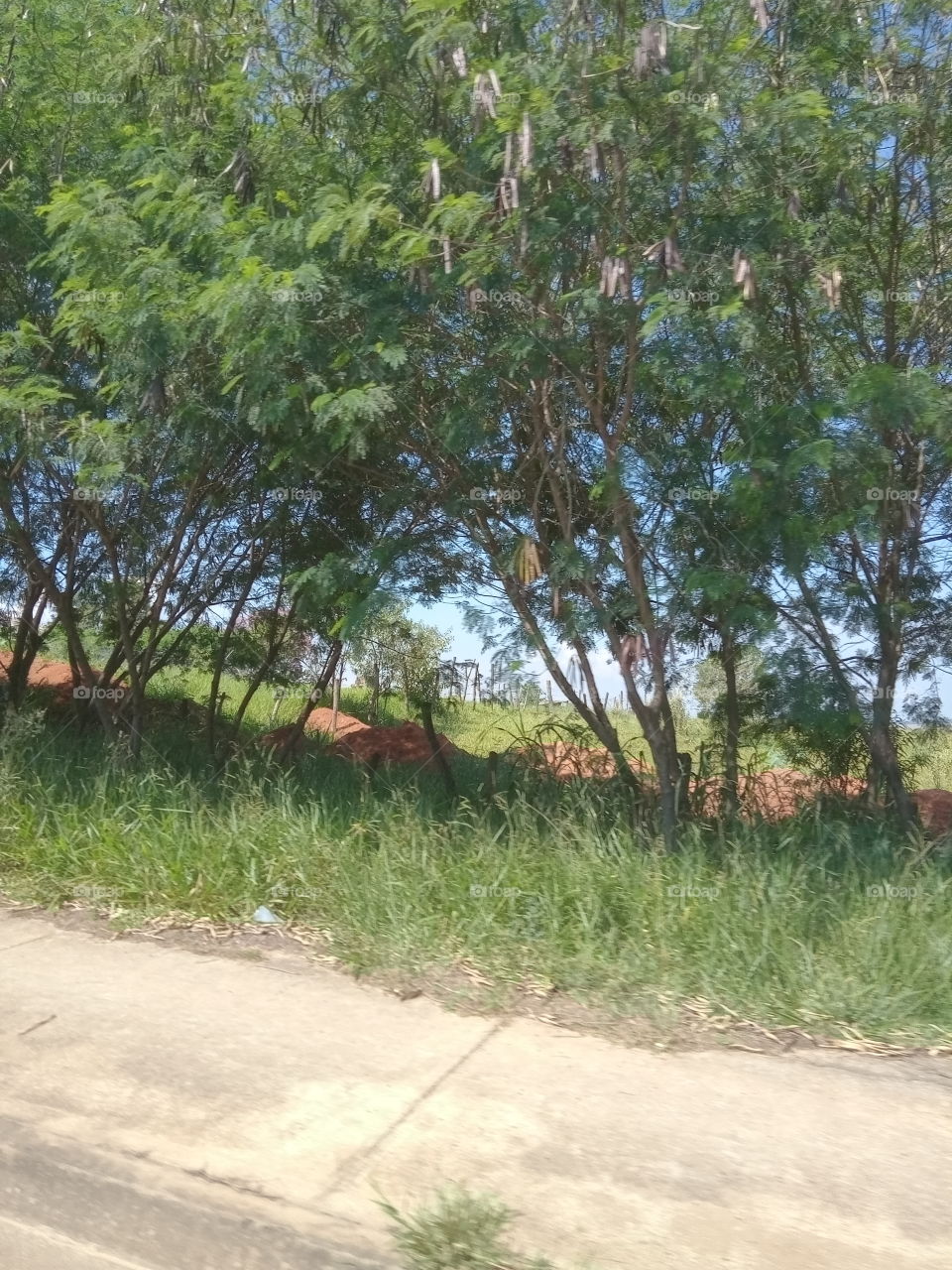 A beleza na simplicidade