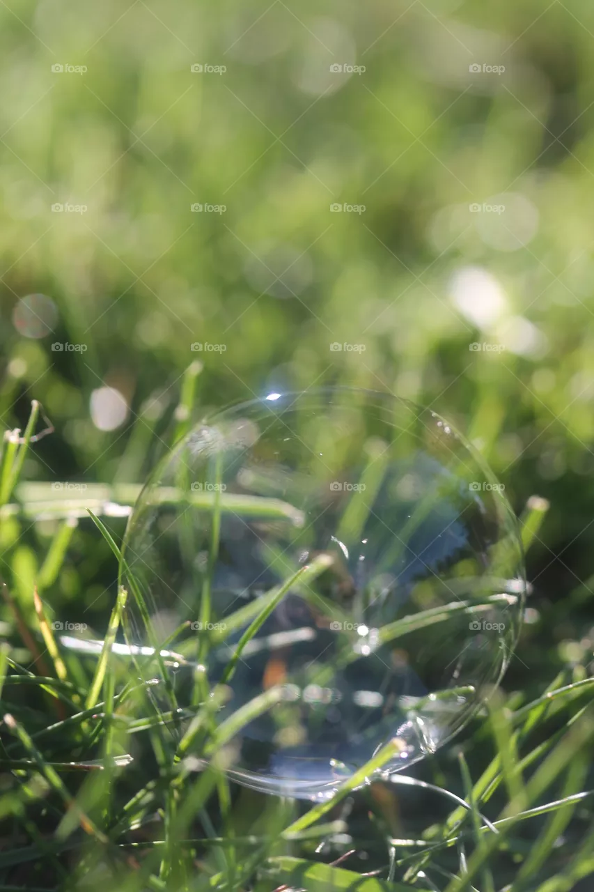 bubble