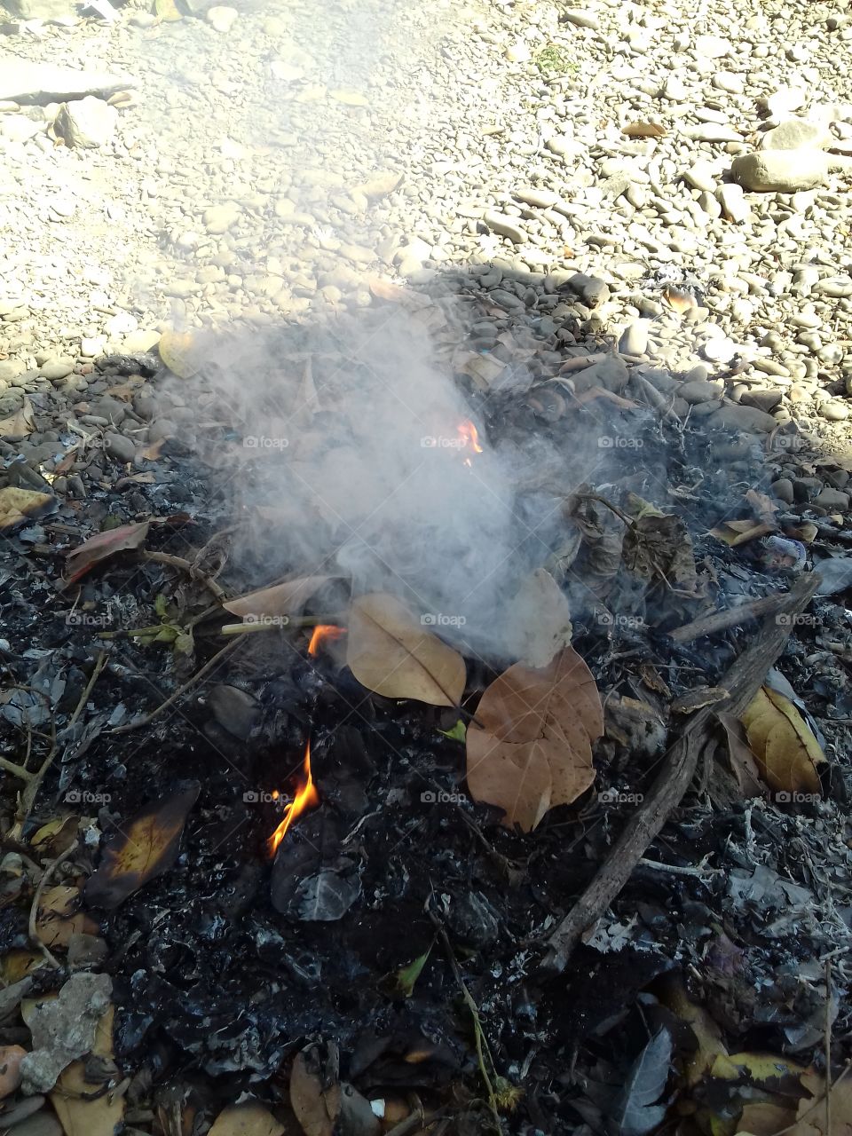 fire smoke dry leaves
