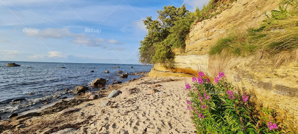 Baltic sea beach, limestone cliff