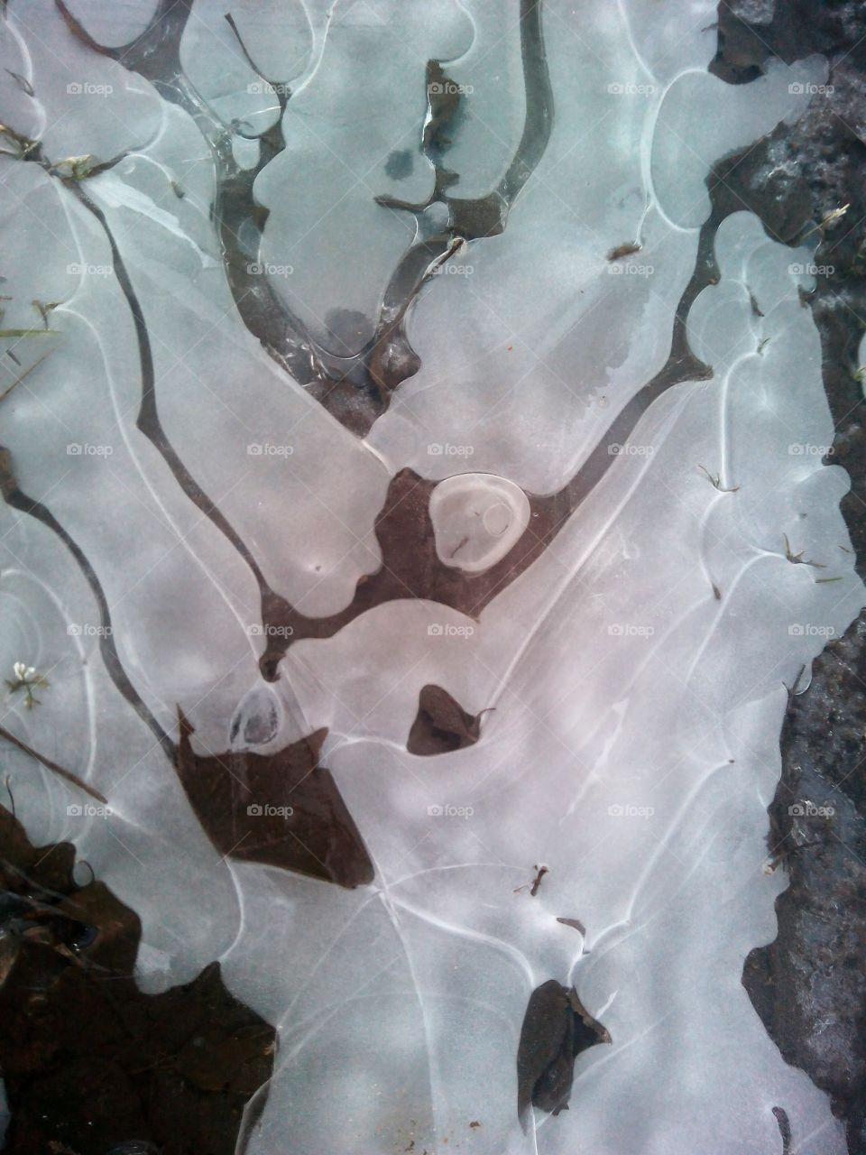 art frozen ice