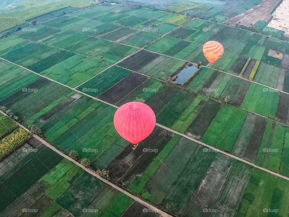 Balloon time in the nice field view